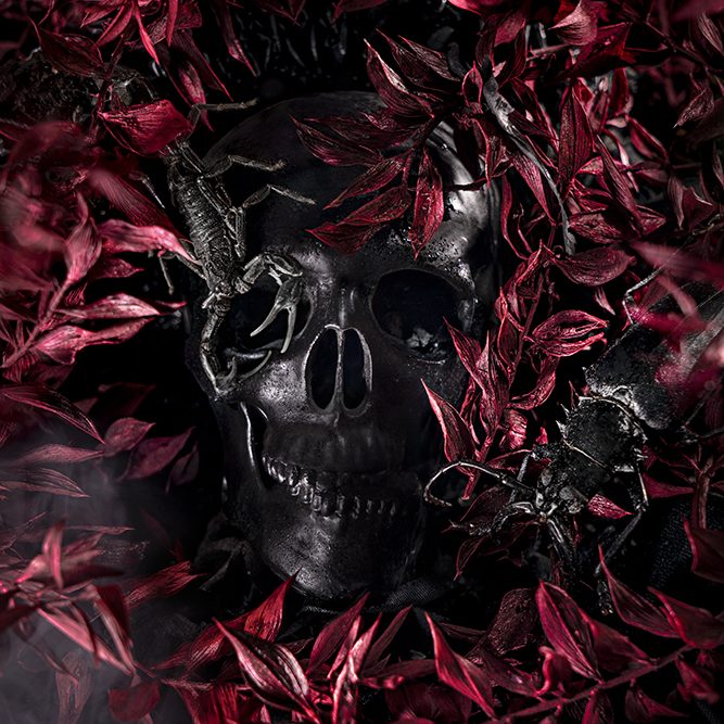 Life in death