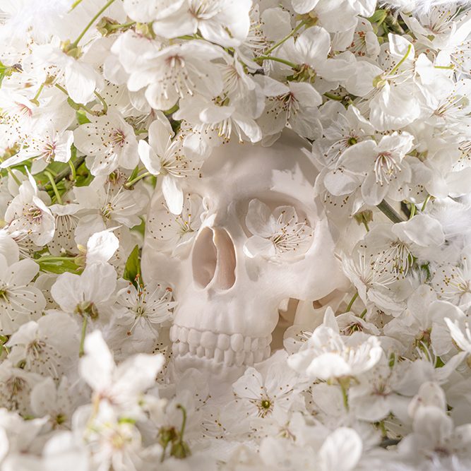 life in death