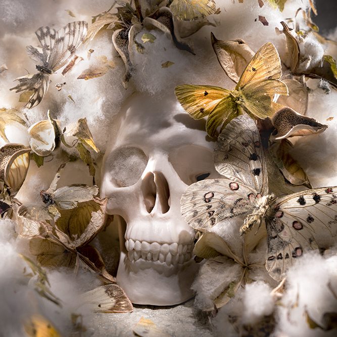life in death